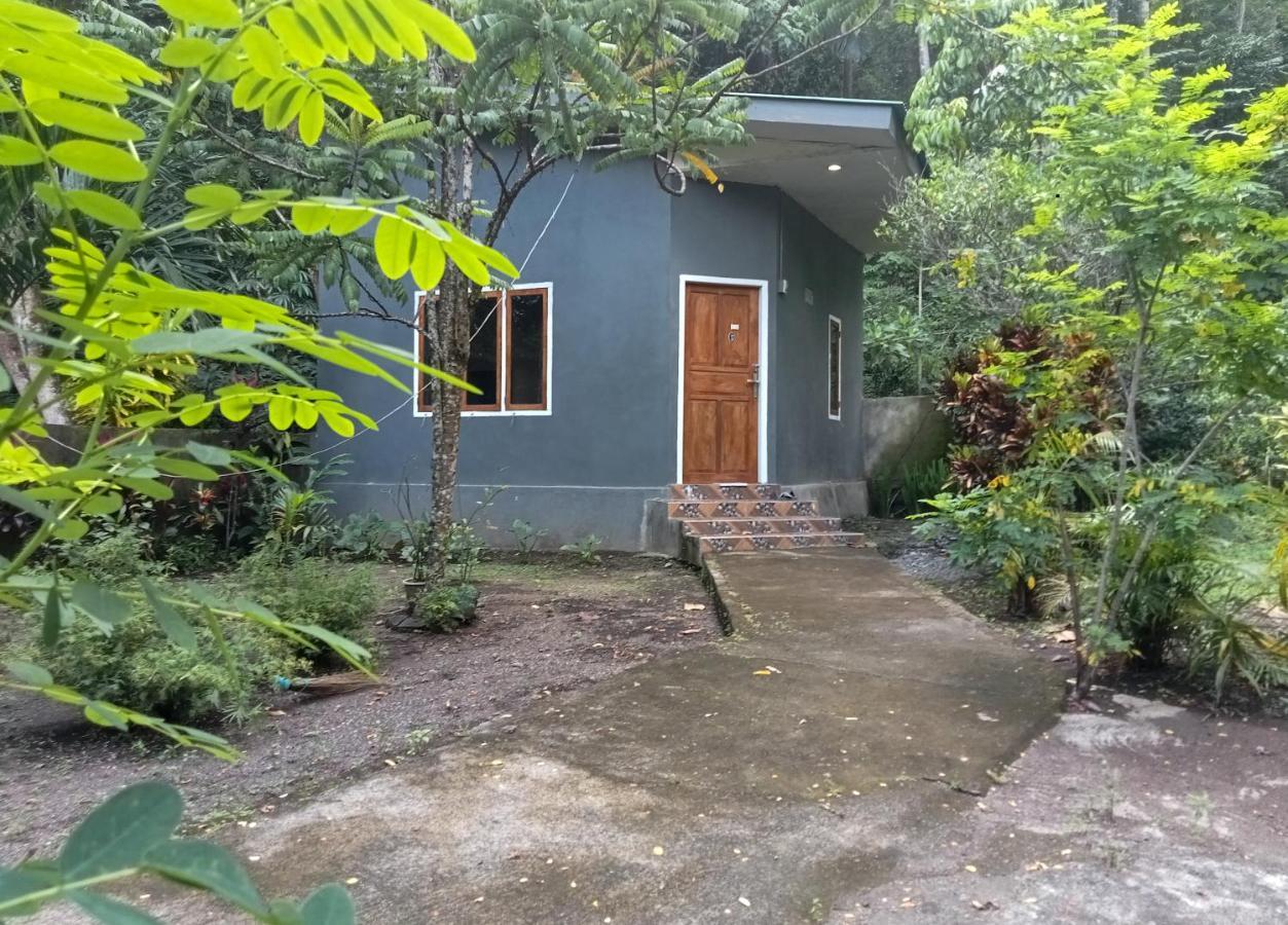Tangkoko Ranger Homestay Bitung Екстер'єр фото